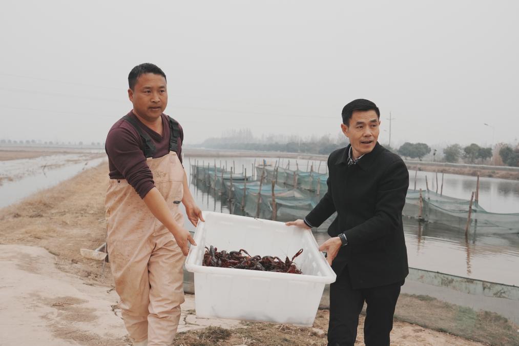 虾错峰上市 为春节餐桌增添红火风味麻将胡