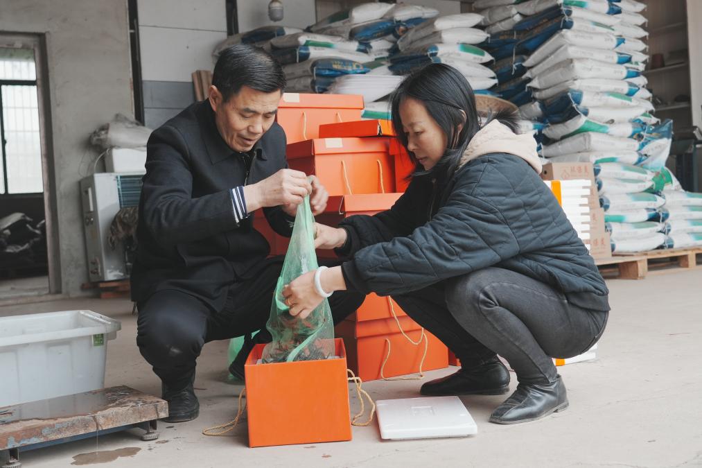 虾错峰上市 为春节餐桌增添红火风味麻将胡了电子游戏新春走基层丨小龙(图2)
