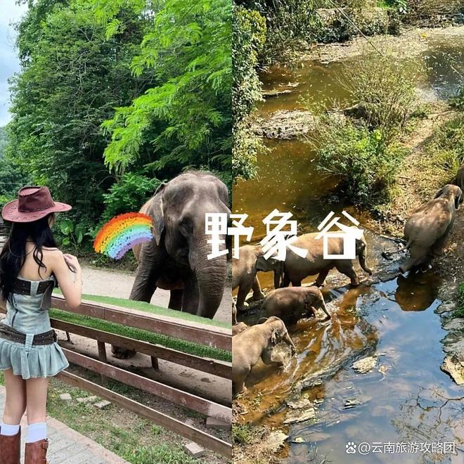 时间西双版纳必去旅游景点打卡记得关注麻将胡了app去西双版纳旅游的最佳(图5)