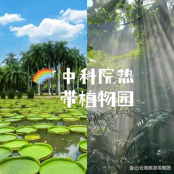 时间西双版纳必去旅游景点打卡记得关注麻将胡了app去西双版纳旅游的最佳(图7)