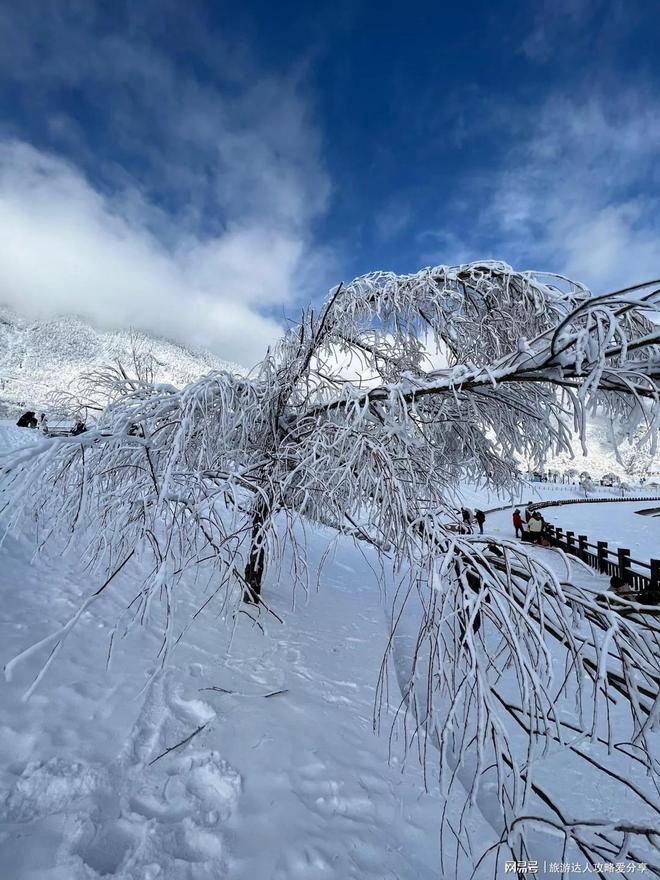 玩5天4晚多少钱四川玩怎么报团PG电子麻
